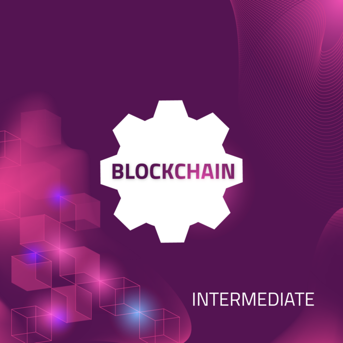 Blockchain in Manufacturing (Intermediate) online training