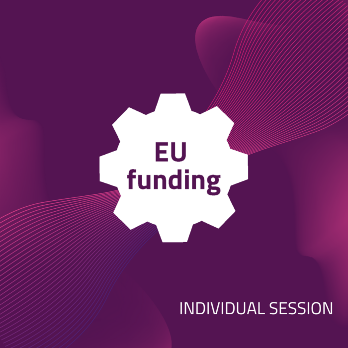 Individual session 30min or 60min on EU funding with Ideas in Motion