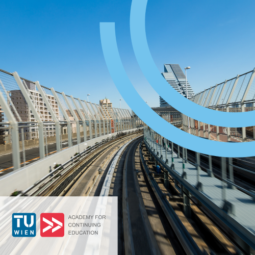 Executive MBA: Mobility Transformation