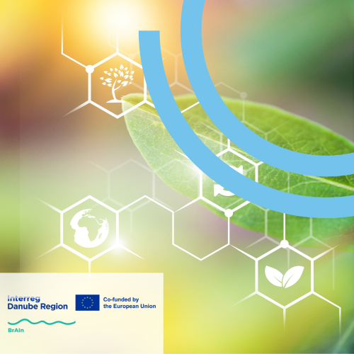 BrAIn Training for AI solutions in agro-food