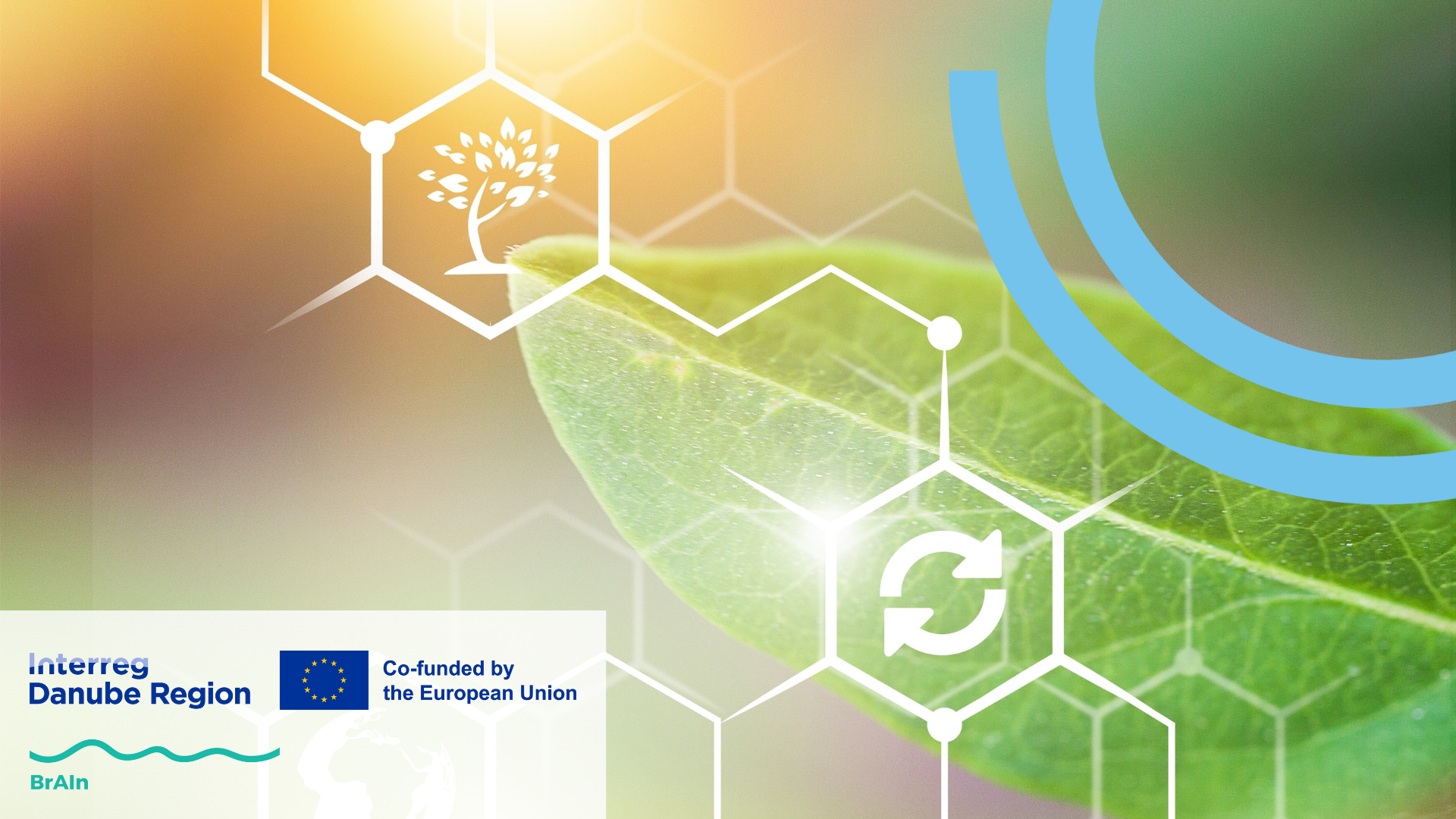 BrAIn Training: AI solutions in agro-food